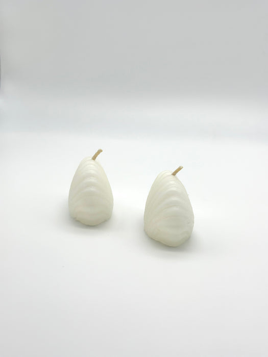 Muschelkerze